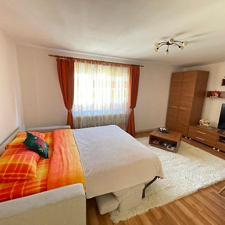 Apartment Cristian Timișoara Zewnętrze zdjęcie