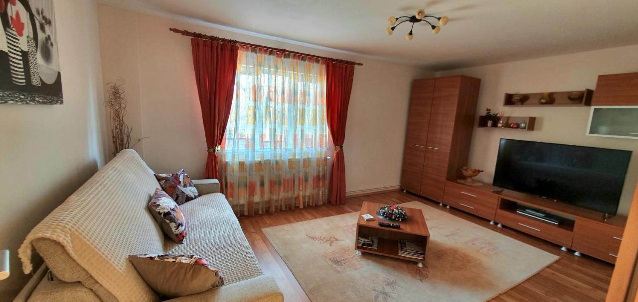 Apartment Cristian Timișoara Zewnętrze zdjęcie