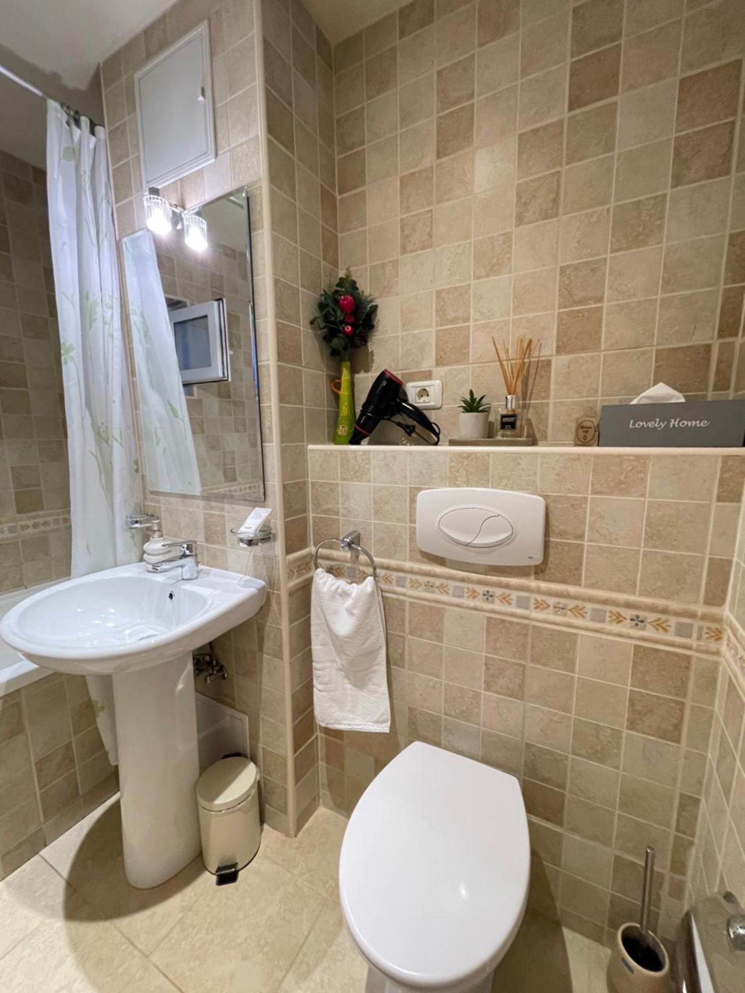 Apartment Cristian Timișoara Zewnętrze zdjęcie