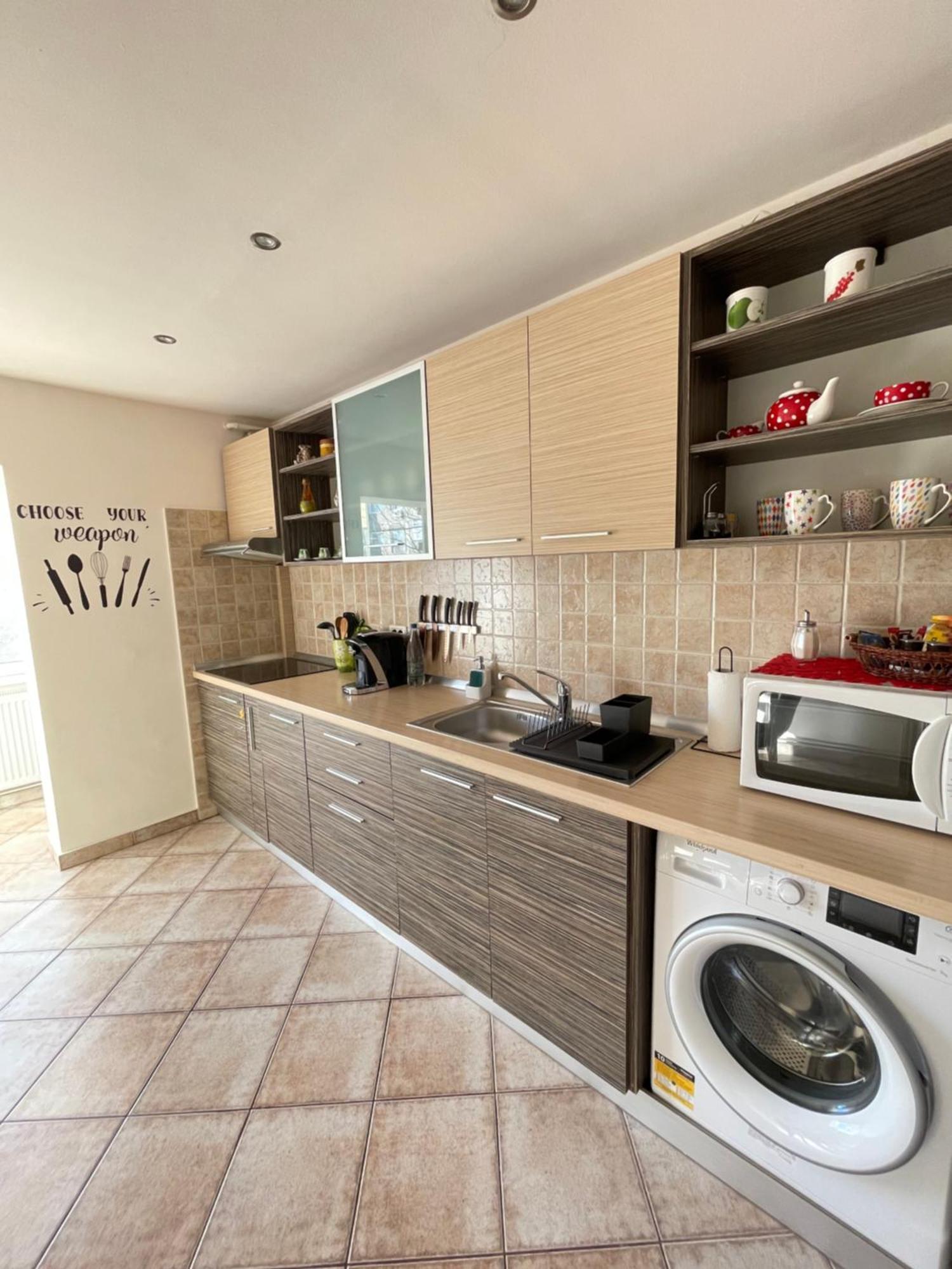 Apartment Cristian Timișoara Zewnętrze zdjęcie